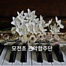 모전초등학교 앞 이미지