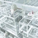 마켓스토리 이미지