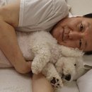 페츠온동물병원 이미지