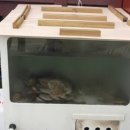 망상펜션 이미지