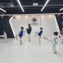 팀 에이스 태권도 이미지