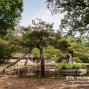 왕후화장품 - 노원구 상계로3길 32 | 왕후화장품
