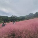 향단농장 이미지