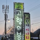 고향의 봄 | ​[청도 맛집] 《고향의봄》아삭함과 달큰한 맛이 남 다른 특별한 한재 미나리, 삼겹살 솔직 후기
