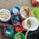 142 | 몽산포 해루질+태안 '몽산 142' 펜션 302호 숙박후기