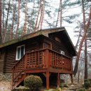 피노키오 자연휴양림 야영장 이미지