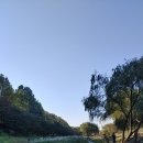 구룡경희한의원 이미지