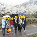 순천향매실마을 이미지