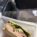 할망꽃쉼팡 민박 | 26.01.25] 제주도 여행 1일차🍊(유니클로, 닥그네할망, 훈식이네동백밭, 코리코카페, 비밀의숲, 탐탐56...