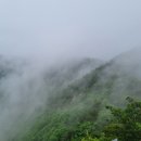 장미 축제가 한창인 동악산을 다녀왔습니다. 이미지