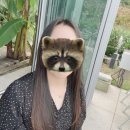 다원디자인 | [서울 홍대입구,연남 히피펌 성지] 더블브이디 다원원장님 감성히피펌 내돈내산 후기