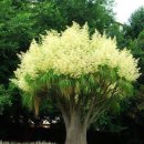 반포삼정공인중개사사무소 이미지