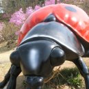 용인농촌테마파크 다목적교육관 이미지