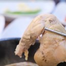 산삼본가 이미지