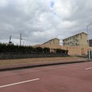 3096 | [제주 숙소] 제주도 독채 숙소 '포멜로 제주' 내돈내산 후기ㅣ세화 해수욕장 숙소, 구좌 숙소