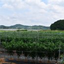 흑석 마을회관 이미지