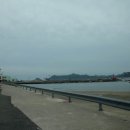 진민박