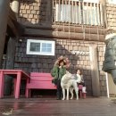 이즈바 펜션 이미지