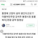 통영에 고양이섬이 생긴다 (통영시장 당선인) 이미지