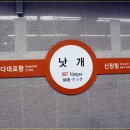 낫개역 이미지