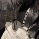 총신대학교 평화통일개발대학원 | [2025 WESF] 외교부 세계신안보포럼 참석 후기
