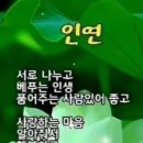 안부/김시천(음원:엘비스) 이미지