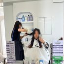 SK프라자 | 임신 31주차, 임산부 펌해도 될까? 중단발 C컬 후기 💇‍♀️ 시흥 육아용품점 방문 | 임신일기 #23