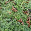 오미농장 이미지