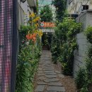 우리집생선구이우렁쌈밥 이미지