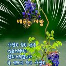 입석길 네이버블로그
