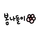 보띠에 이미지