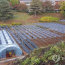 태양원룸 태양광발전소 이미지