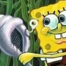 다즐링북스 이미지