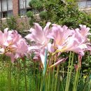 서울오금초등학교 이미지