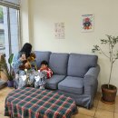 동홍동 명물천사우나 | 서귀포 카페 콤비, 강아지랑 다녀왔어요! 애견동반, 디저트, 아늑한 분위기
