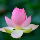 마음, 쉼 이미지