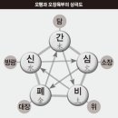 오장육부 이미지
