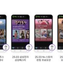 몰앤미디어