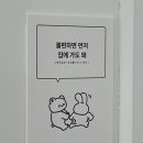 쇼니노 티스토리