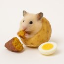 GS25 강화병원점 | GS25 편의점 신상 | 고구마 하이볼 솔직 후기