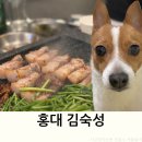 홍대장소고기집 | 홍대 애견동반 식당 고기집 김숙성 회식장소 추천후기