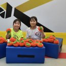 효태권도장 | 인천논현동태권도 아이가 다니고 있는, 예담 효 태권도장