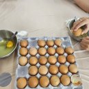 설악초등학교 이미지