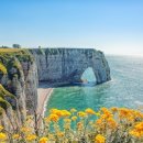 바다로일이오 이미지