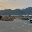 갈티로 이미지