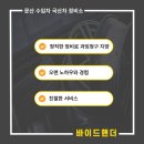 바이드핸더 이미지