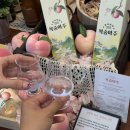 노드 | 사천숙소 추천 감성 끝판왕 사천개별자쿠지 스테이노드 솔직후기 (아기동반) 🌿