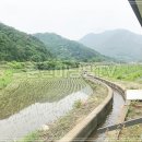 강원도 춘천시 신동면 의암리 농사용 토지매매 이미지