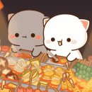 39헬스 이미지