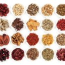 고운한의원 이미지